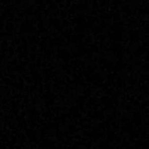 Meet your Posher, Max